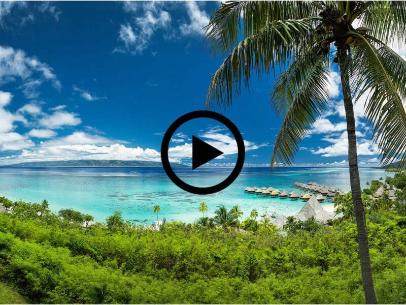 Condé Nast Traveller Readers’ Choice Awards 2022 classe le Sofitel Kia Ora Moorea Beach Resort dans les 15 meilleurs hôtels du Pacifique !